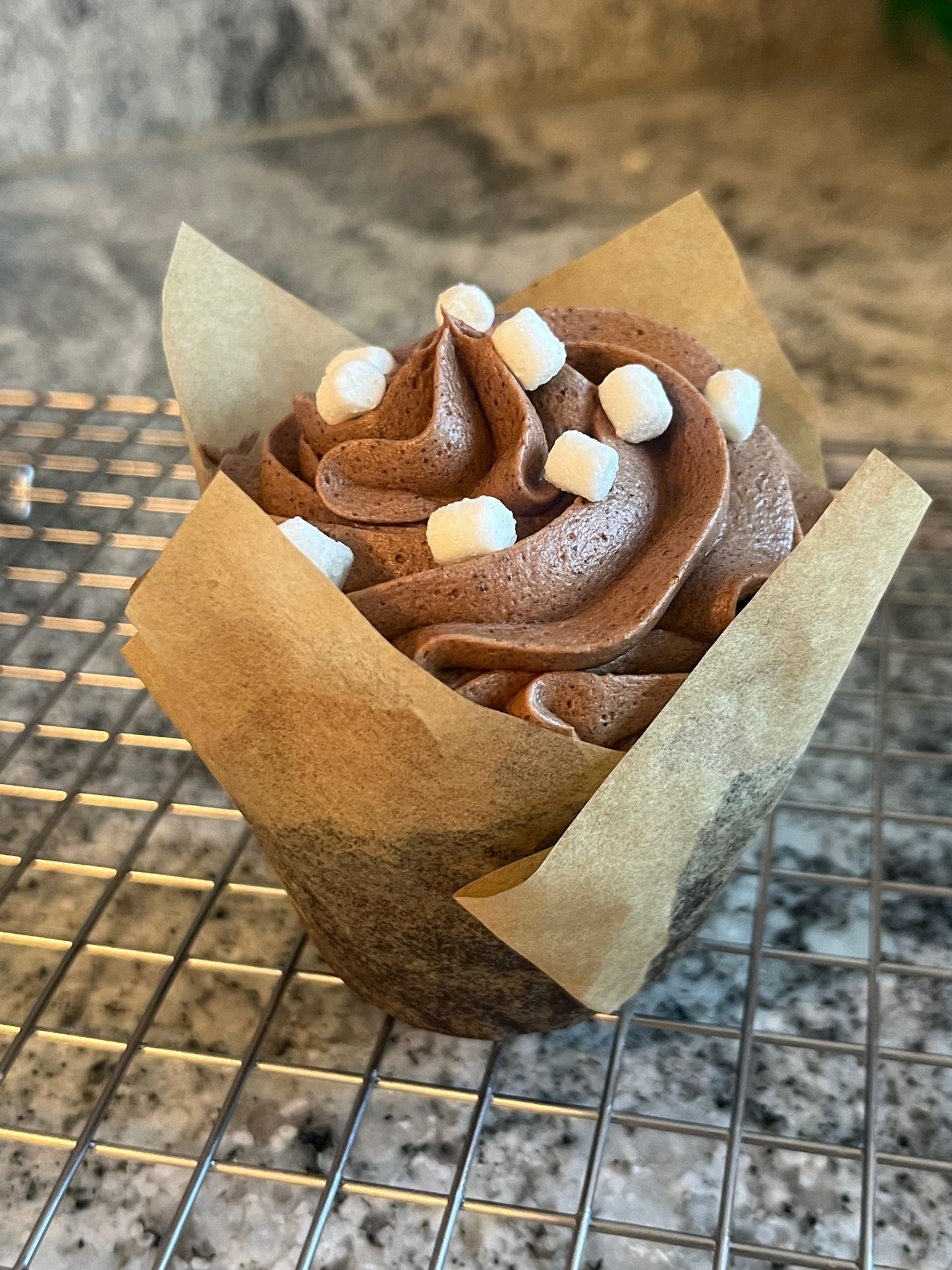 Image of a single Coco Aztecs cupcake with fudgey ripples of frosting sprinkled with mini marshmallows.