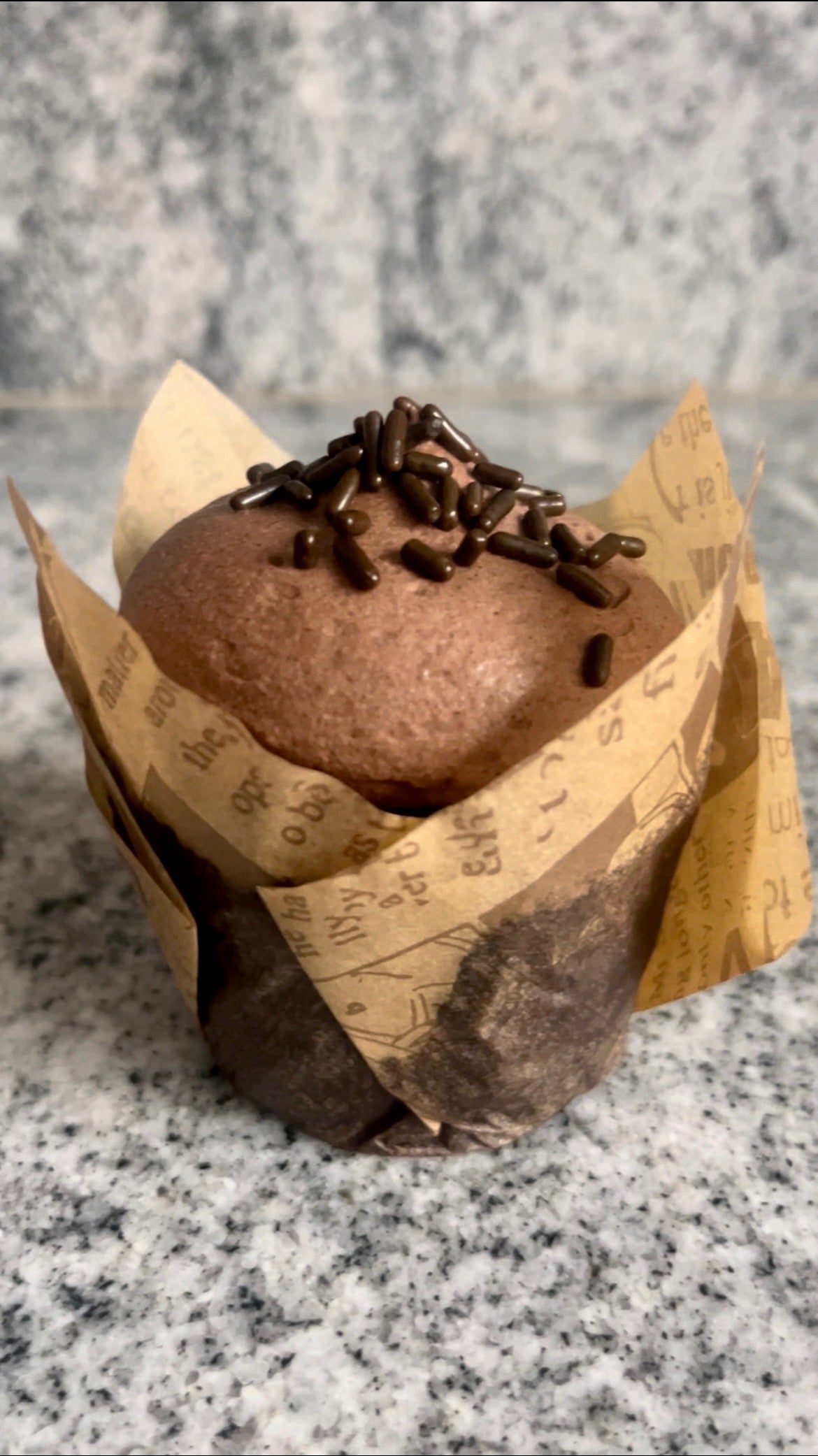 A single Chocoholic cupcake sits on the counter.  The chocolate fudge frosting is crowned with chocolate sprinkles.