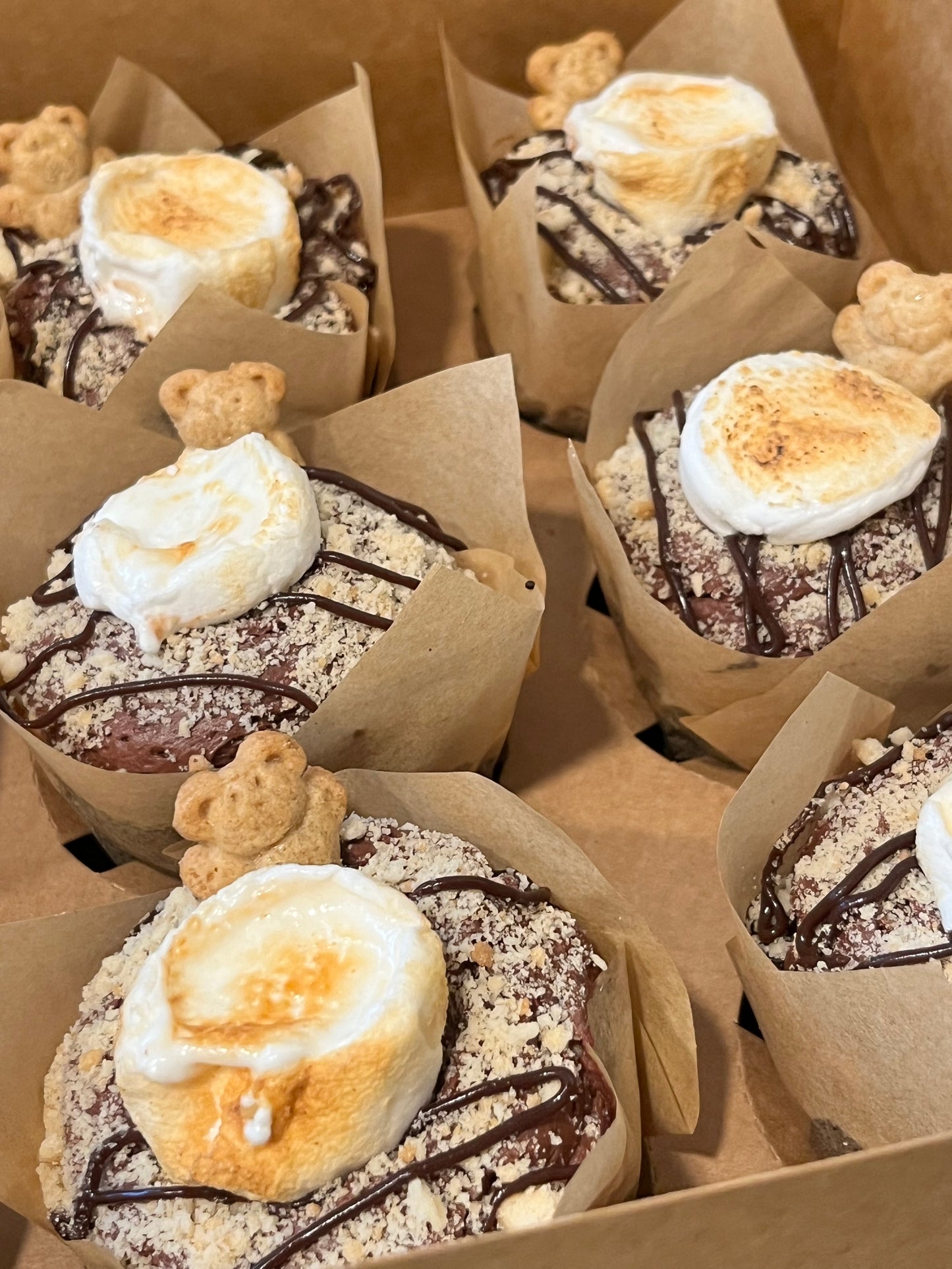 S’more Than A Feeling Cupcake Dozen