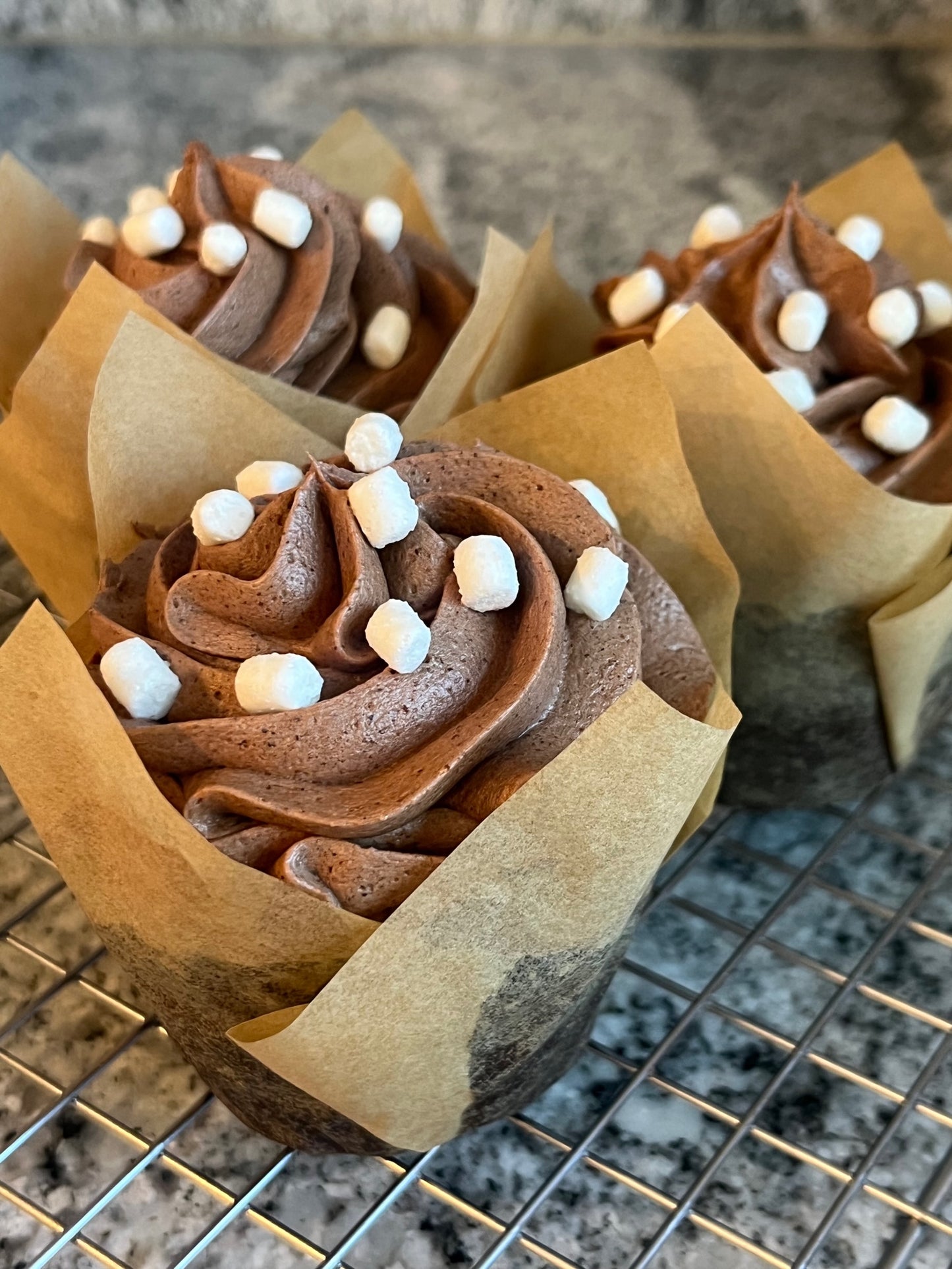 Coco Azteca Cupcake Dozen