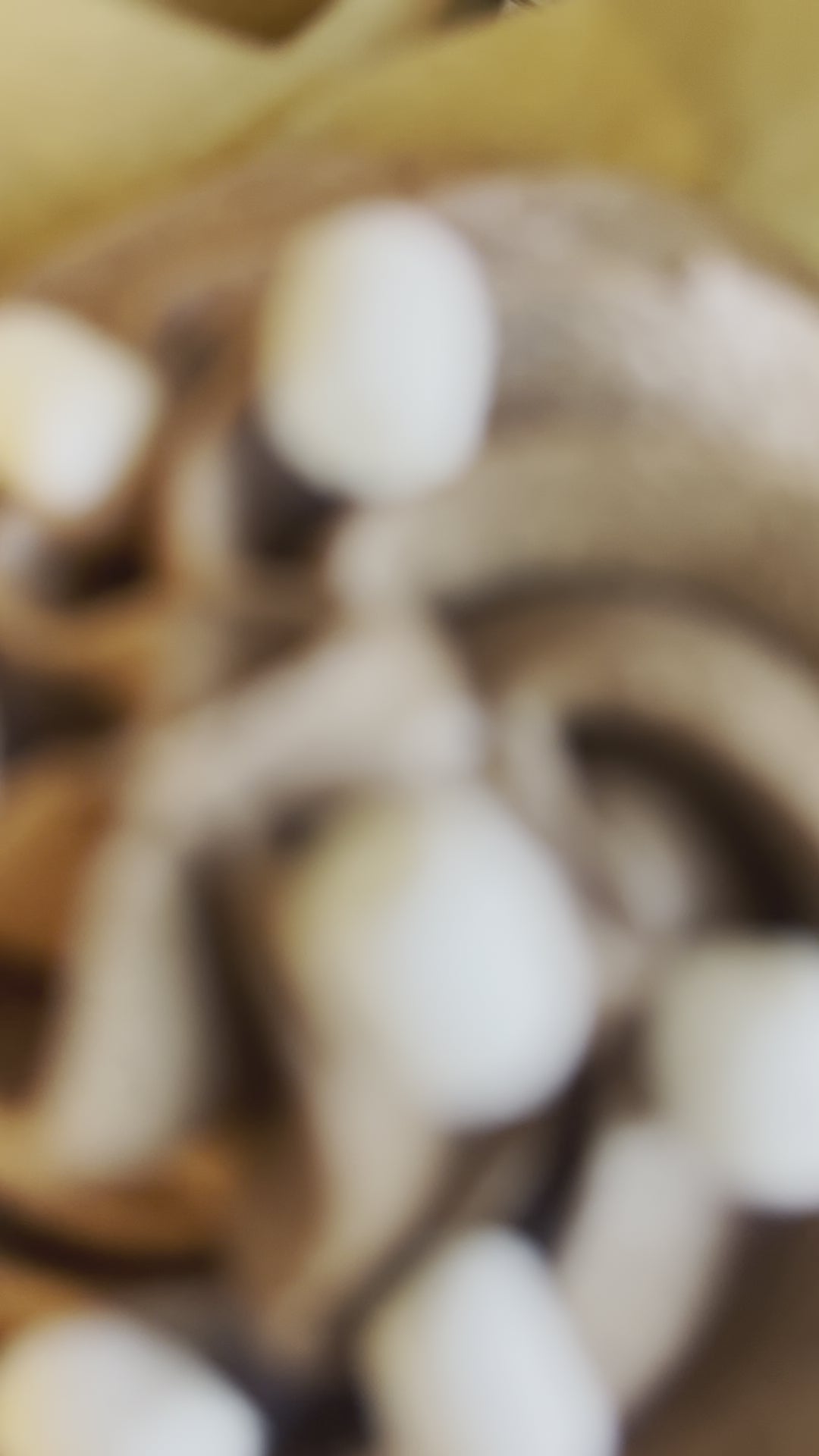 Video of Three gorgeous Coco Azteca cupcakes sprinkled with mini marshmallows.